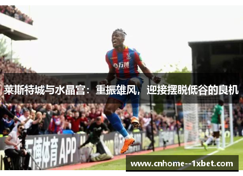莱斯特城与水晶宫:重振雄风,迎接摆脱低谷的良机 莱斯特城与水晶宫:重振雄风,迎接摆脱低谷的良机