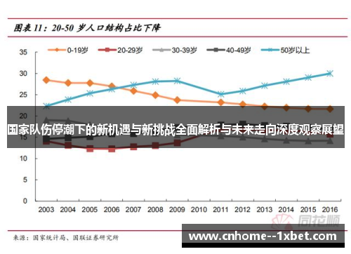 国家队伤停潮下的新机遇与新挑战全面解析与未来走向深度观察展望